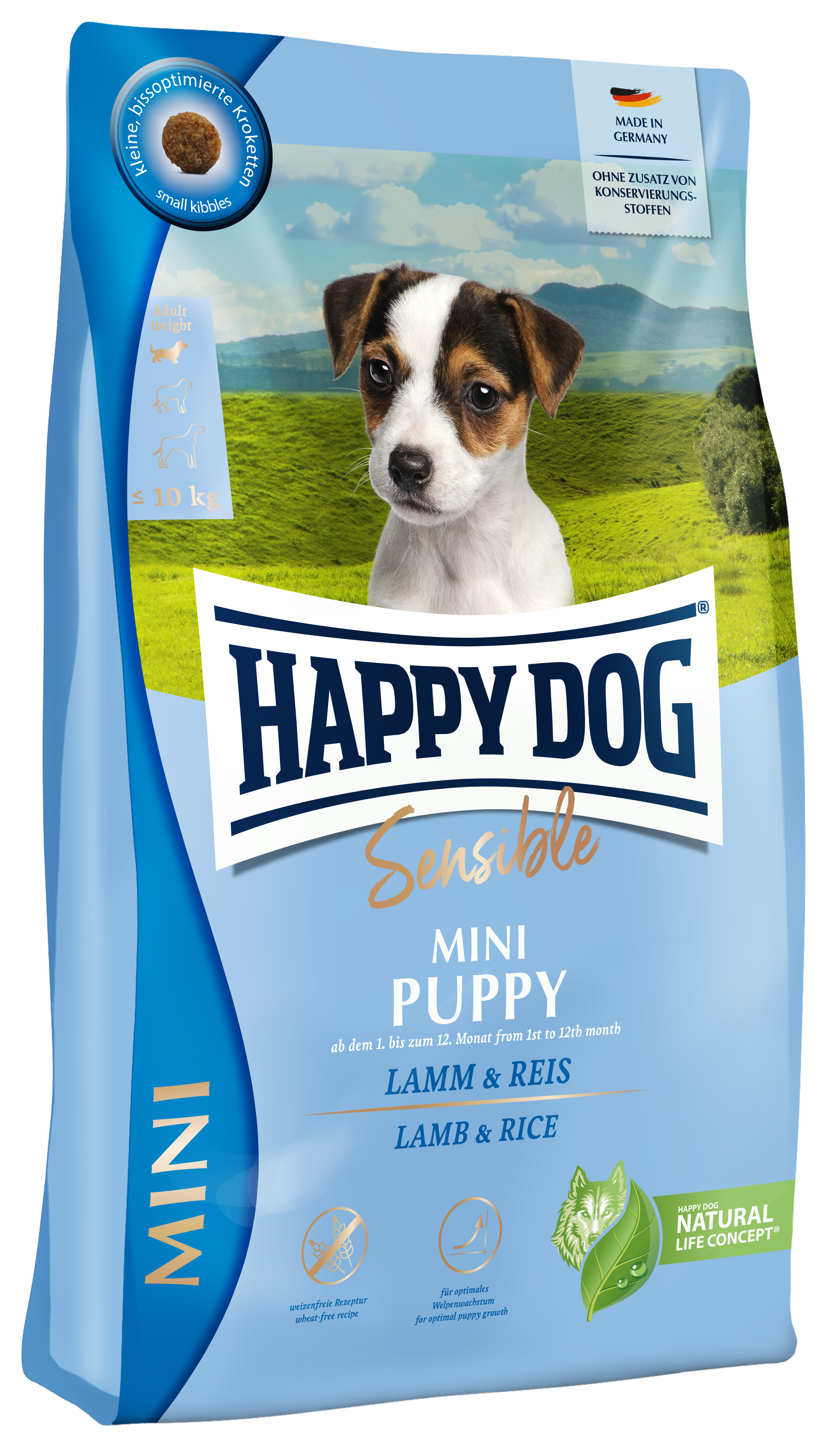 Sensible Mini Puppy