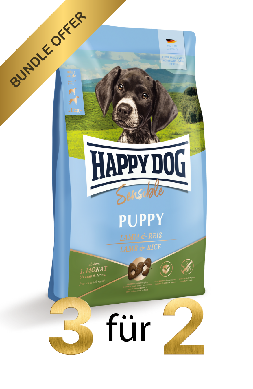 Sensible Puppy - Lamm & Reis