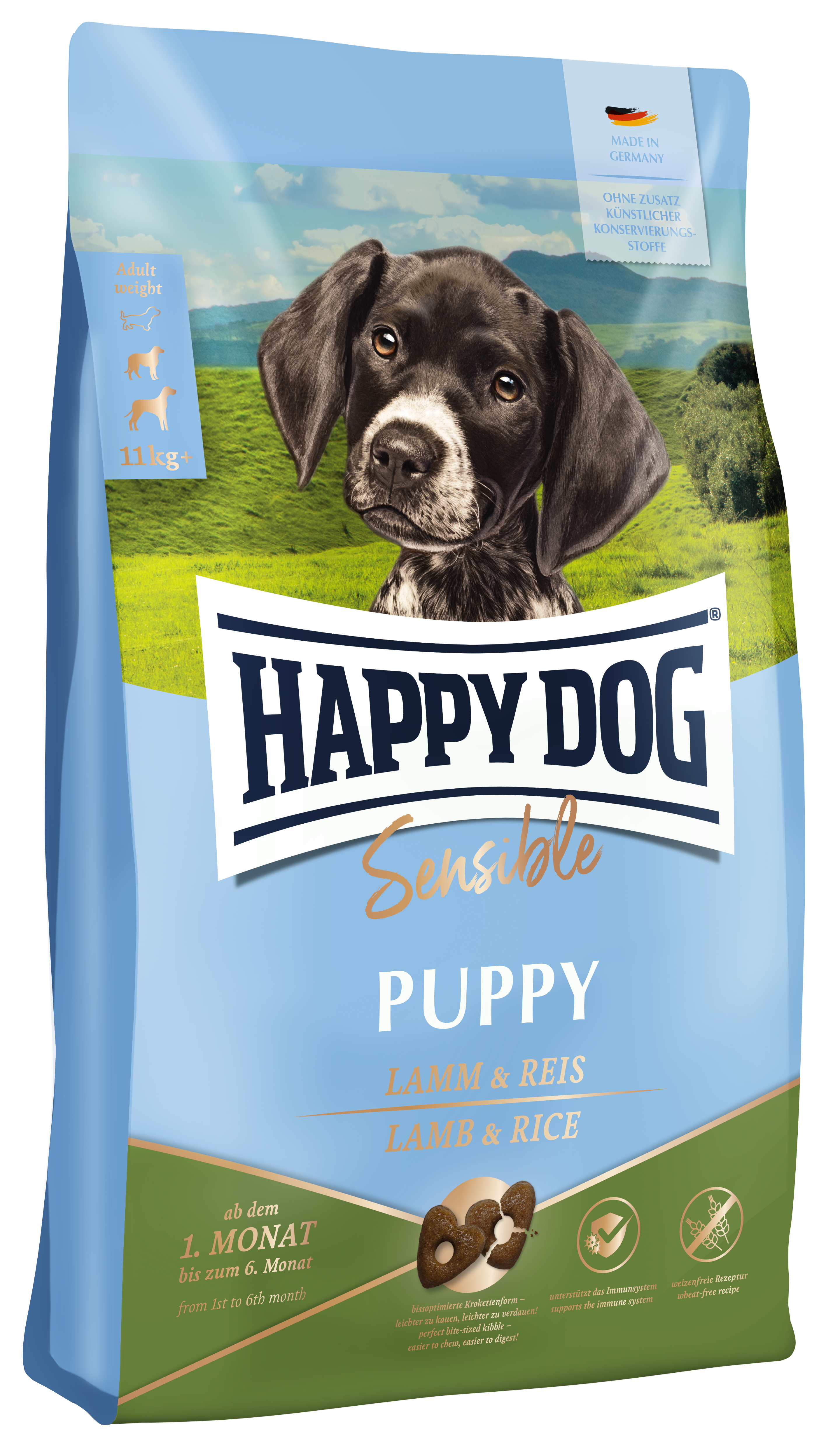 Sensible Puppy - Lamm & Reis