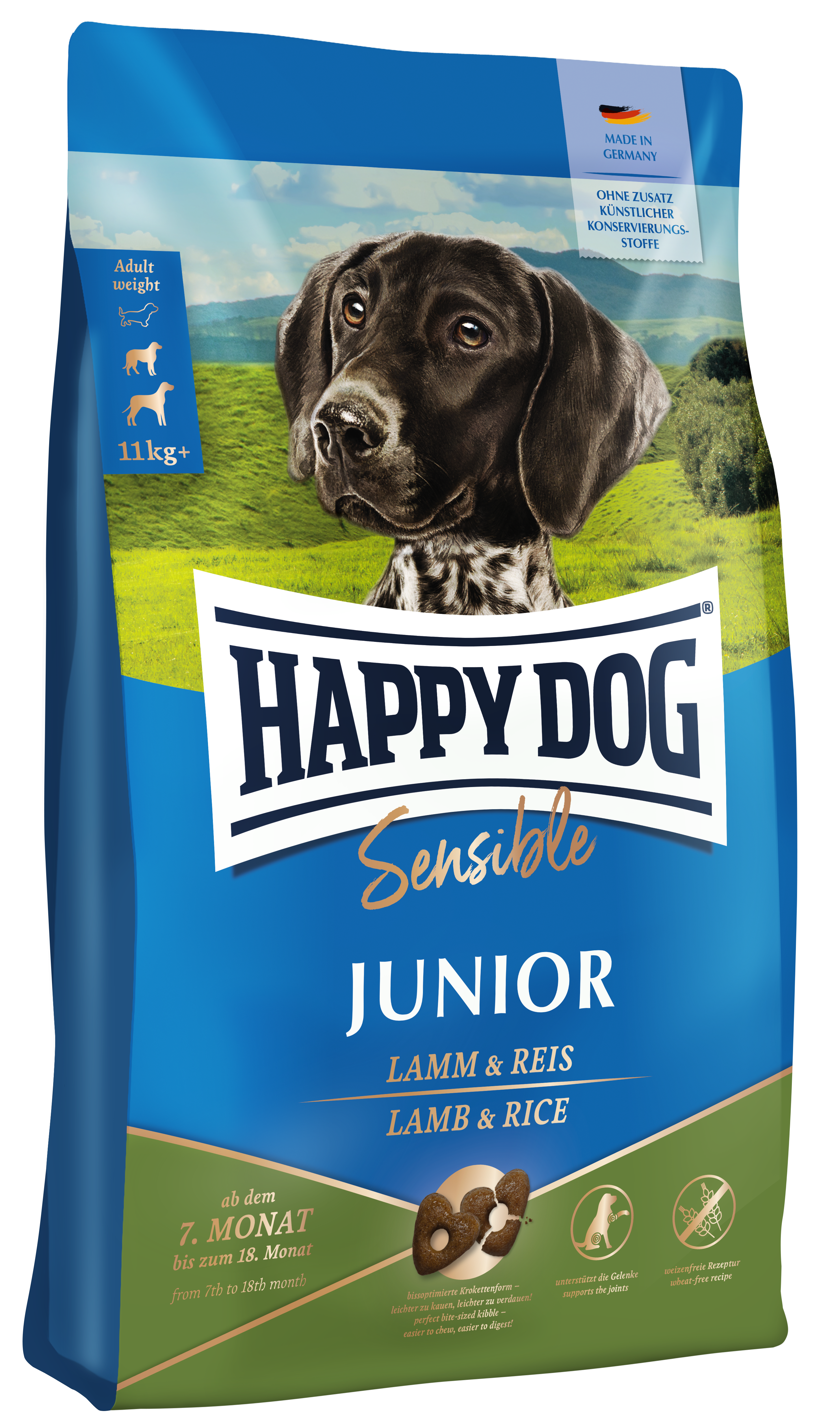 Sensible Junior - Lamm & Reis