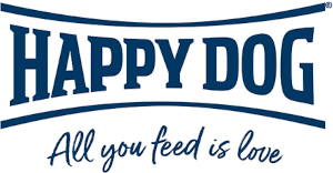 Zur Startseite gehen