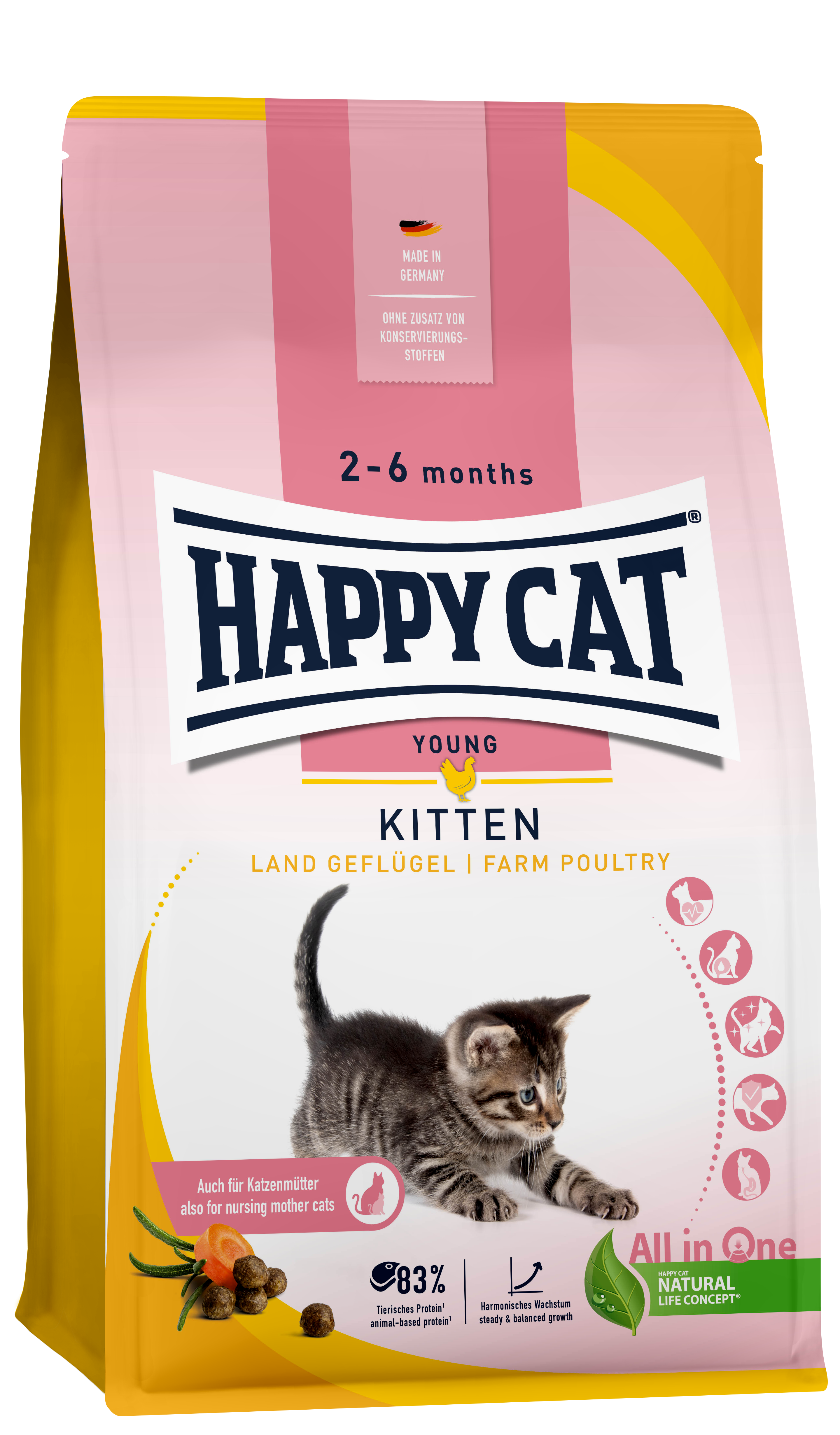 Young Kitten Land-Geflügel